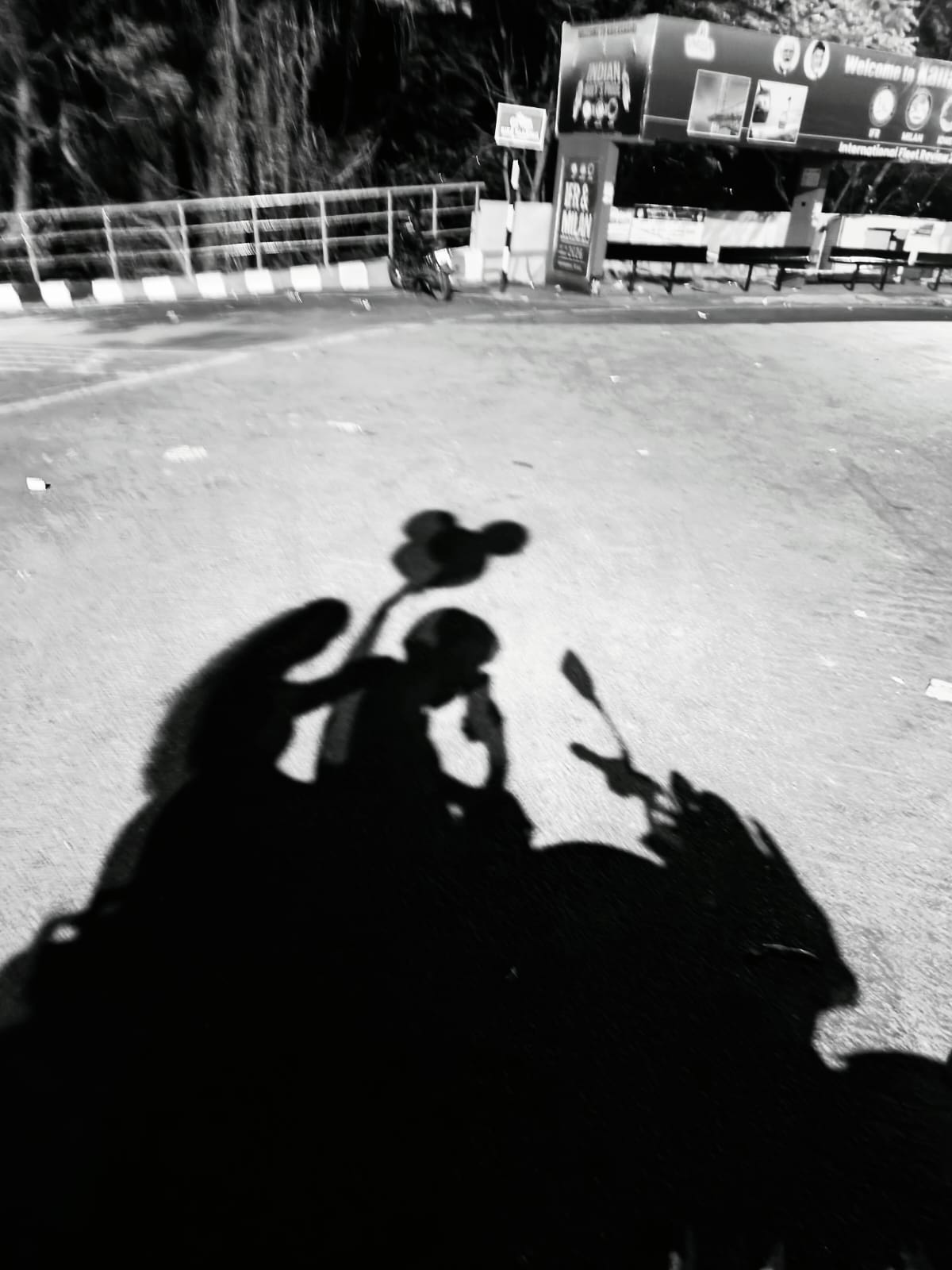 Bike Shadow